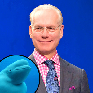 Tim Gunn, Beluga Whale Tim Gunn, Beluga Whale